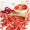 Ningxia Gou Qi Zi Chinesische Wolfsbeere Getrocknete Goji Beere Ningxia Beeren Goji Trockenfrüchte